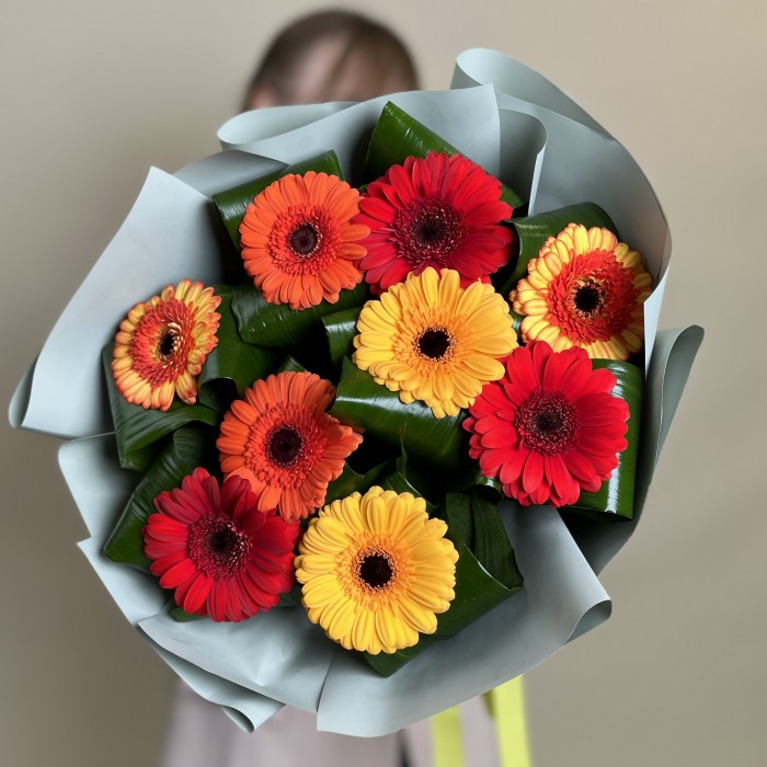 9 гербер микс с аспидистрой