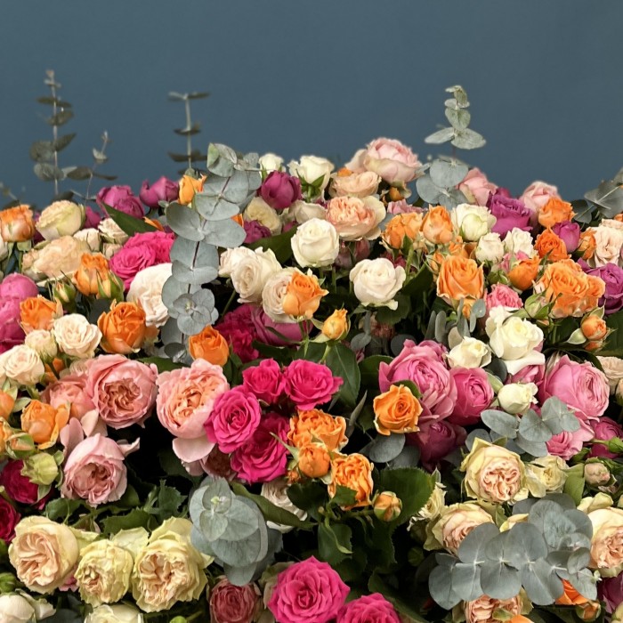 101 кустовая и пионовидная Роза  в большой коробке яркий MIX