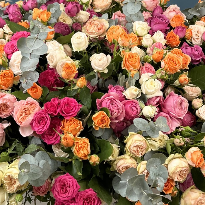 101 кустовая и пионовидная Роза  в большой коробке яркий MIX