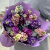 15 ароматных маттиол