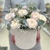 9 пышных ранункулюсов с генистой в бархатной коробке
