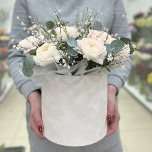 9 пышных ранункулюсов с генистой в бархатной коробке