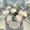 9 пышных ранункулюсов с генистой в бархатной коробке