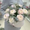 9 пышных ранункулюсов с генистой в бархатной коробке