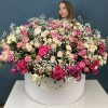 51 кустовая и пионовидная Роза с Гипсофилой в коробке нежный MIX