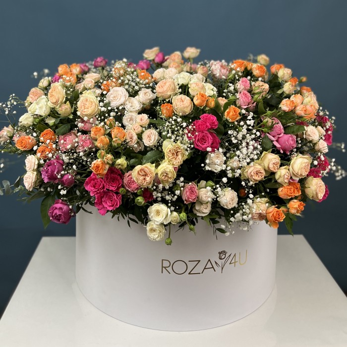 51 кустовая и пионовидная Роза с Гипсофилой в коробке яркий MIX