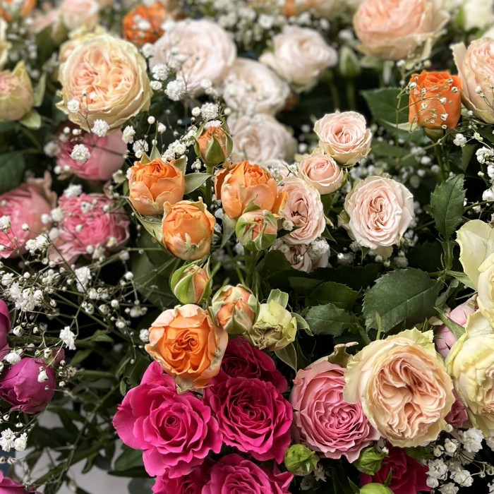 51 кустовая и пионовидная Роза с Гипсофилой в коробке яркий MIX