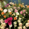51 кустовая и пионовидная Роза с Грин Белл в коробке нежный MIX