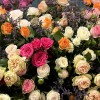 51 кустовая и пионовидная Роза с Лимониумом в коробке яркий MIX