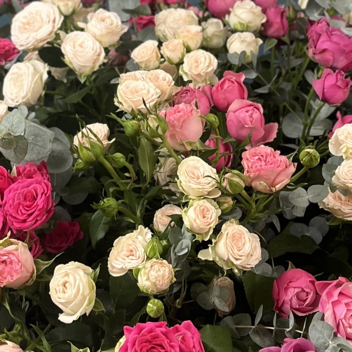 51 кустовая и пионовидная Роза в большой коробке нежный MIX