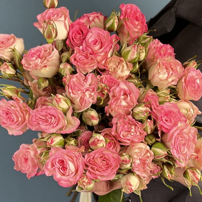 Роза кустовая пионовидная Кэнди Блоссом 60 см