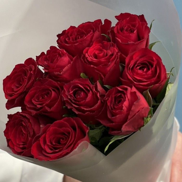 11 красных роз Мадам ред 50 см