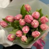 15 коралловых тюльпанов