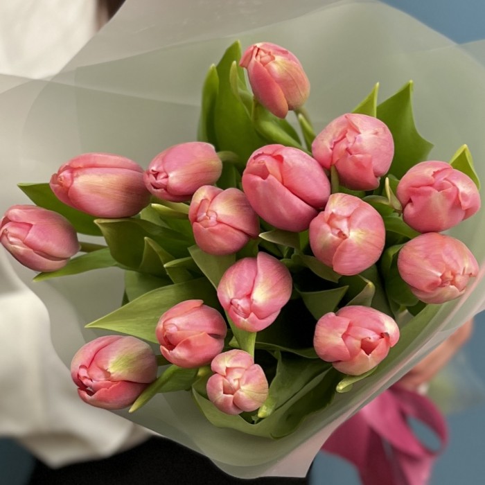 15 коралловых тюльпанов