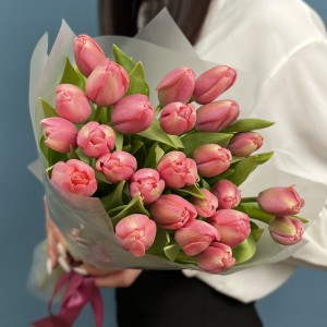 25 коралловых тюльпанов