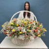301 тюльпан микс с белой гипсофилой в корзине