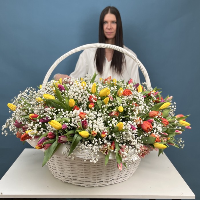 301 тюльпан микс с белой гипсофилой в корзине