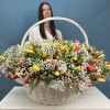 301 тюльпан микс с белой гипсофилой в корзине