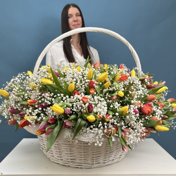301 тюльпан микс с белой гипсофилой в корзине