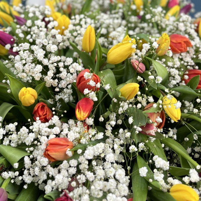 301 тюльпан микс с белой гипсофилой в корзине