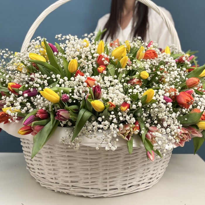 301 тюльпан микс с белой гипсофилой в корзине