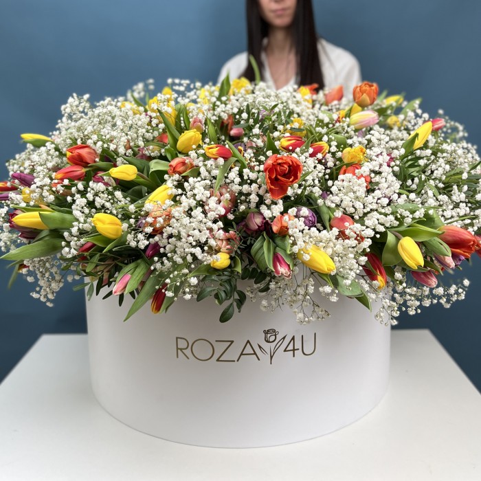 301 тюльпан микс с белой гипсофилой в коробке