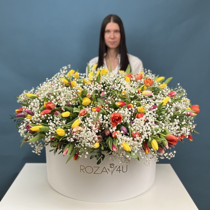 301 тюльпан микс с белой гипсофилой в коробке