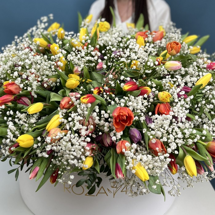 301 тюльпан микс с белой гипсофилой в коробке