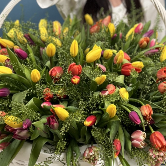 301 тюльпан микс с гринбелом в корзине