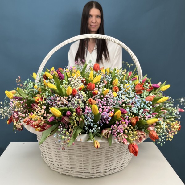 301 тюльпан микс с радужной гипсофилой в корзине