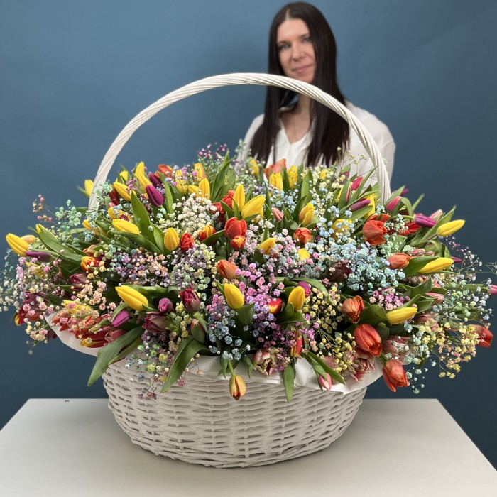301 тюльпан микс с радужной гипсофилой в корзине