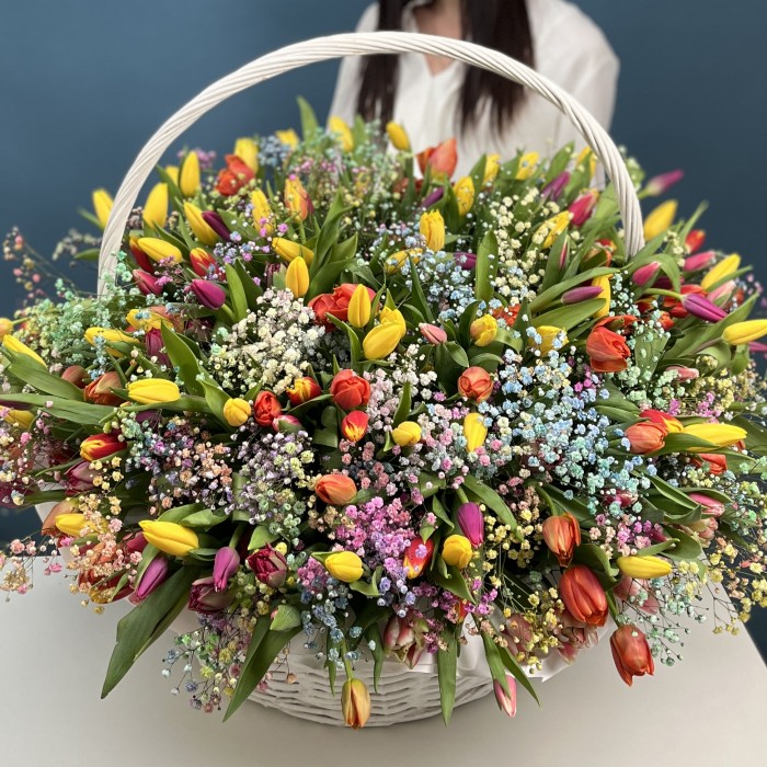 301 тюльпан микс с радужной гипсофилой в корзине