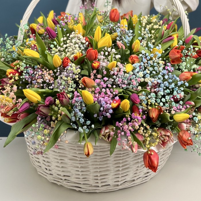 301 тюльпан микс с радужной гипсофилой в корзине