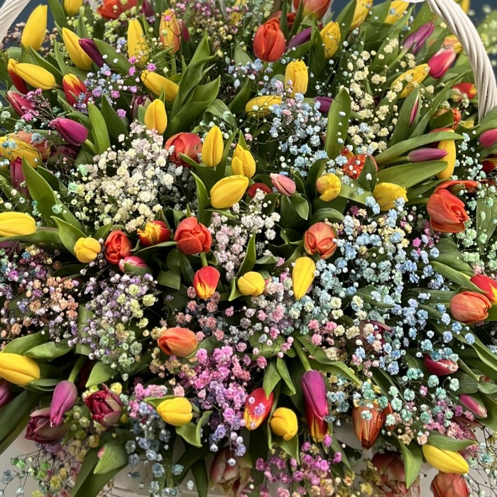 301 тюльпан микс с радужной гипсофилой в корзине