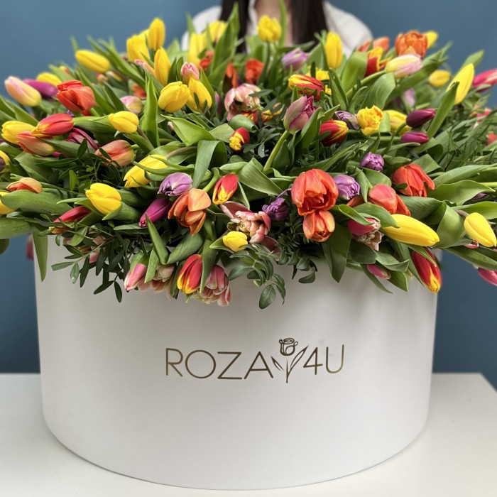 301 тюльпан микс в коробке