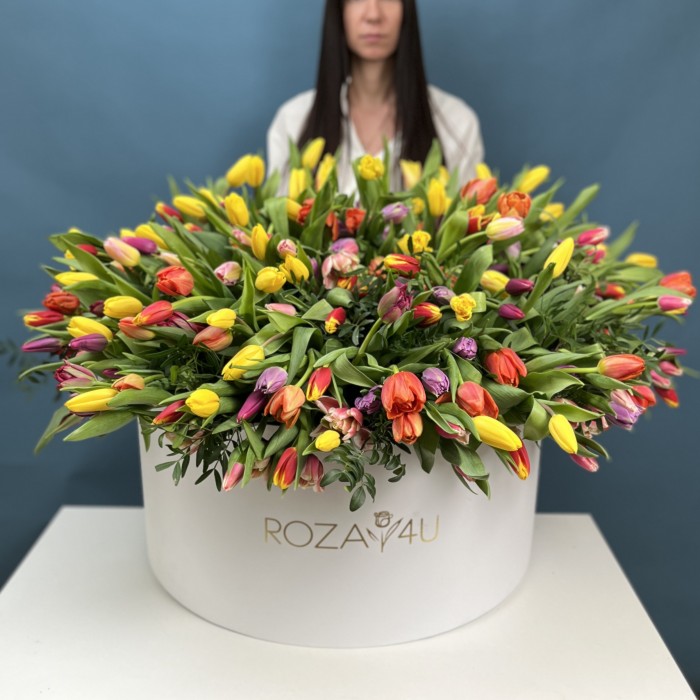 301 тюльпан микс в коробке
