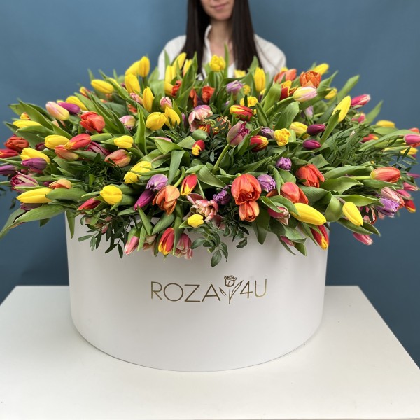 301 тюльпан микс в коробке