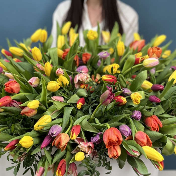 301 тюльпан микс в коробке