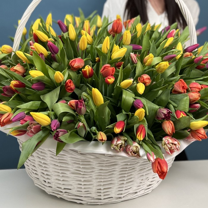 301 тюльпан микс в корзине