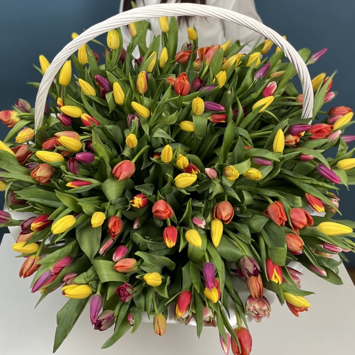 301 тюльпан микс в корзине