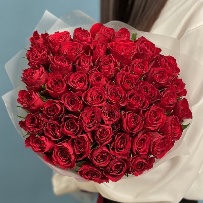 51 красная роза Мадам Ред 50 см