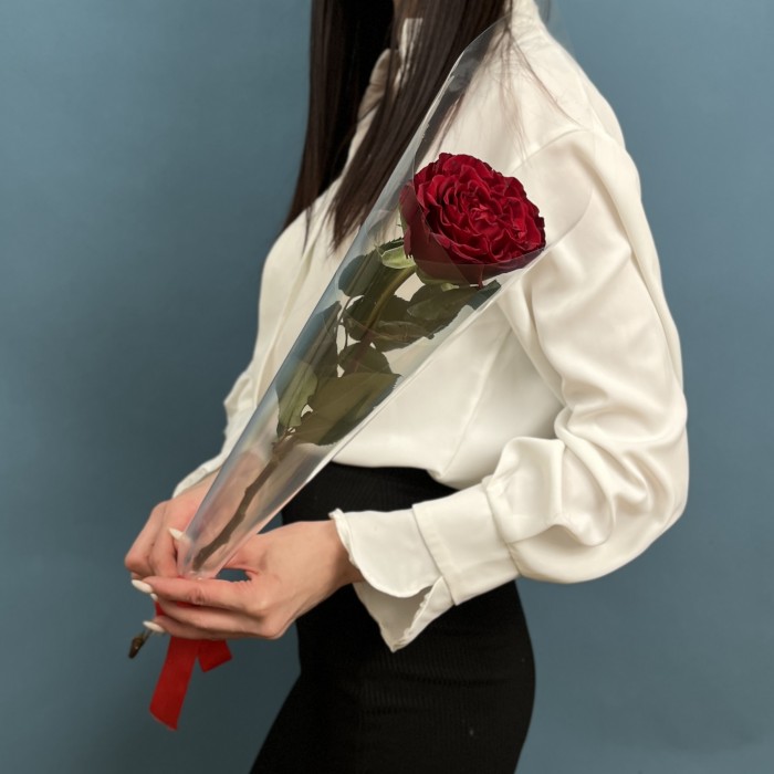 1 красная роза Хартс 60 см