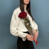 1 красная роза Хартс 60 см
