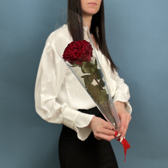 1 красная роза Хартс 60 см