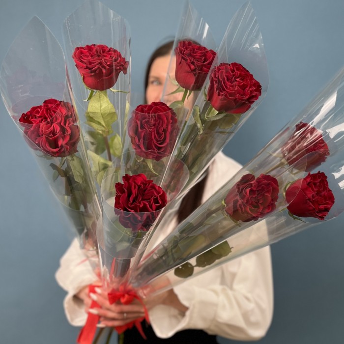 1 красная роза Хартс 60 см