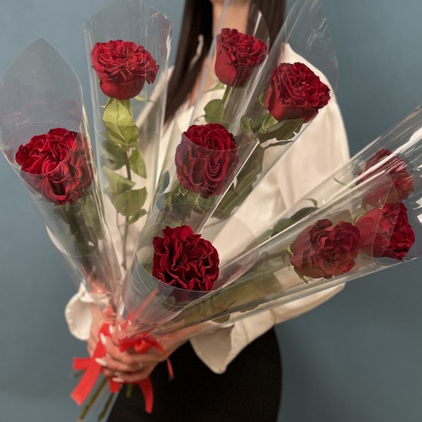 1 красная роза Хартс 60 см