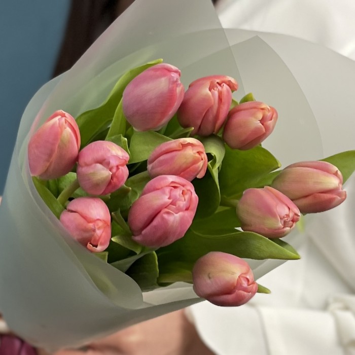 Корпоративный букет 11 коралловых тюльпанов