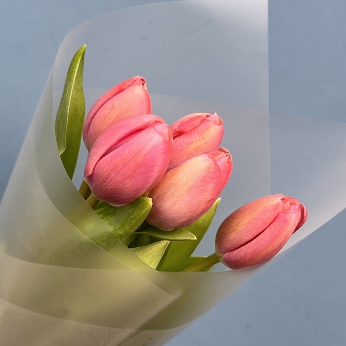 Корпоративный букет 5 коралловых тюльпана