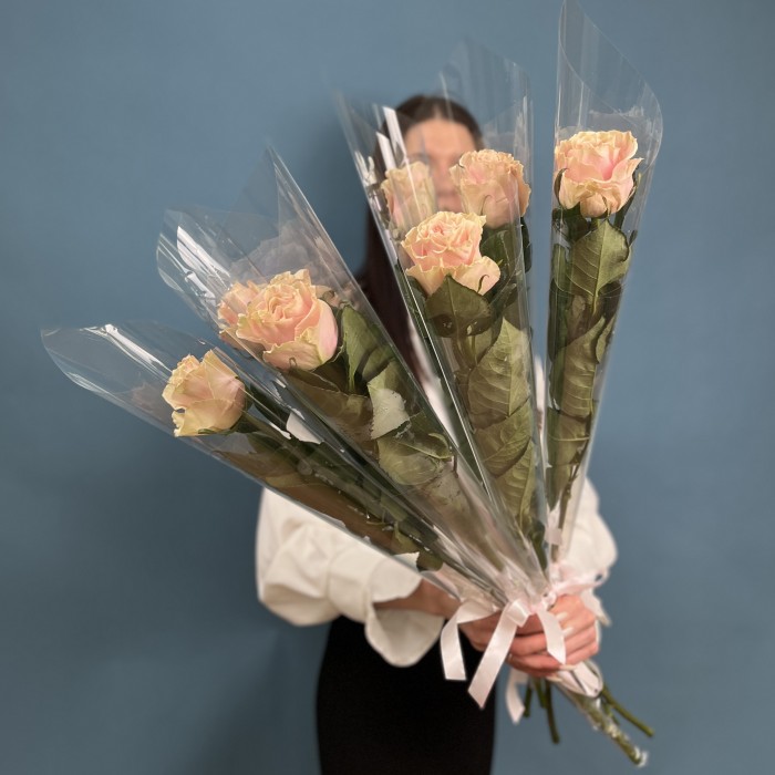 1 роза Пинк  Мондиаль 60 см