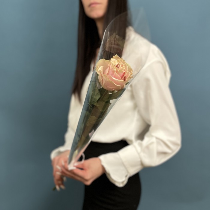 1 роза Пинк  Мондиаль 60 см